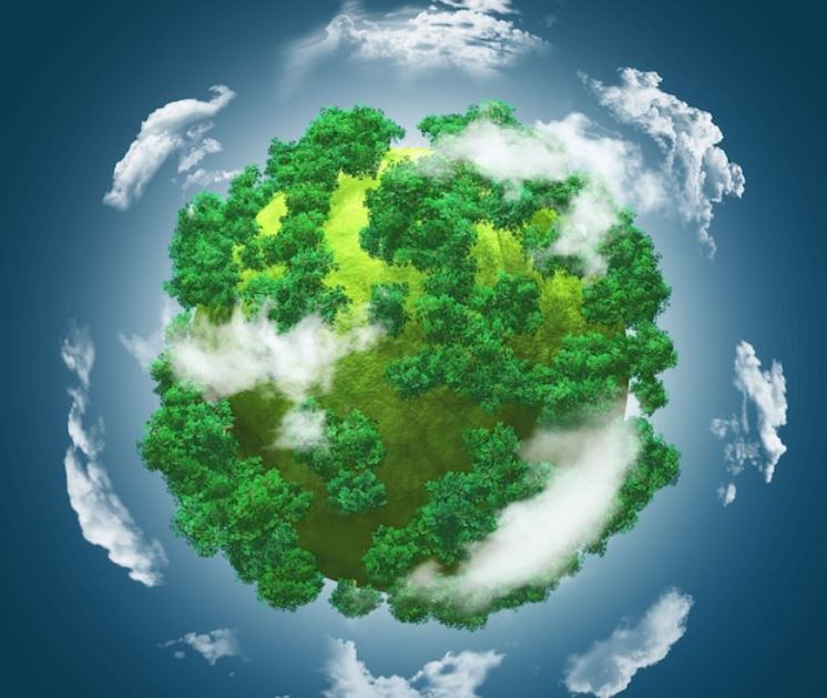Mundo ecología  los biomas