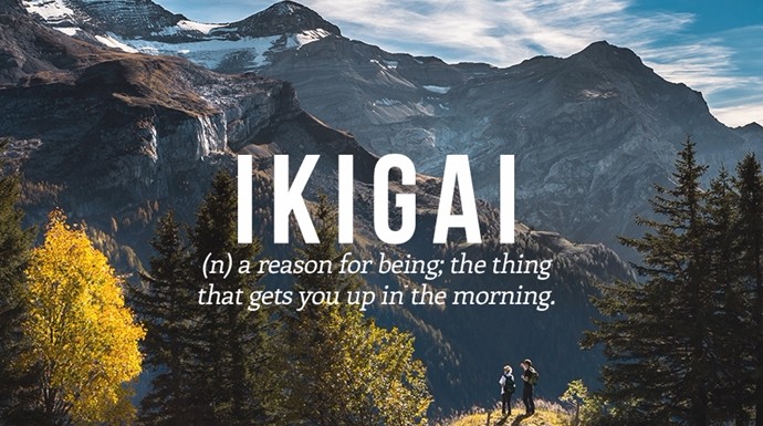 IKIGAI: la razón de ser, lo que hace que te levantes por las mañanas. 