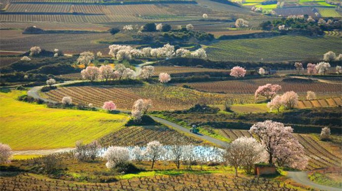 Paisajes de La Rioja en primavera.
