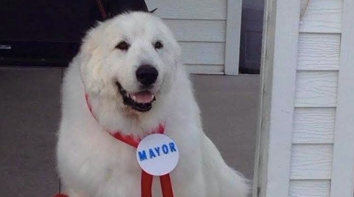 Duke, alcalde por tercera vez consecutiva. 