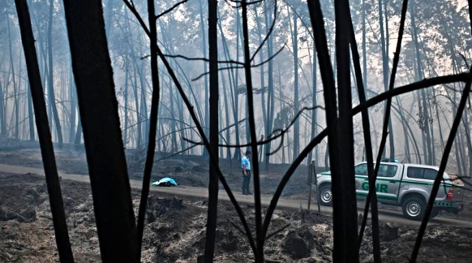 Una dramática escena del incendio del centro de Portugal.