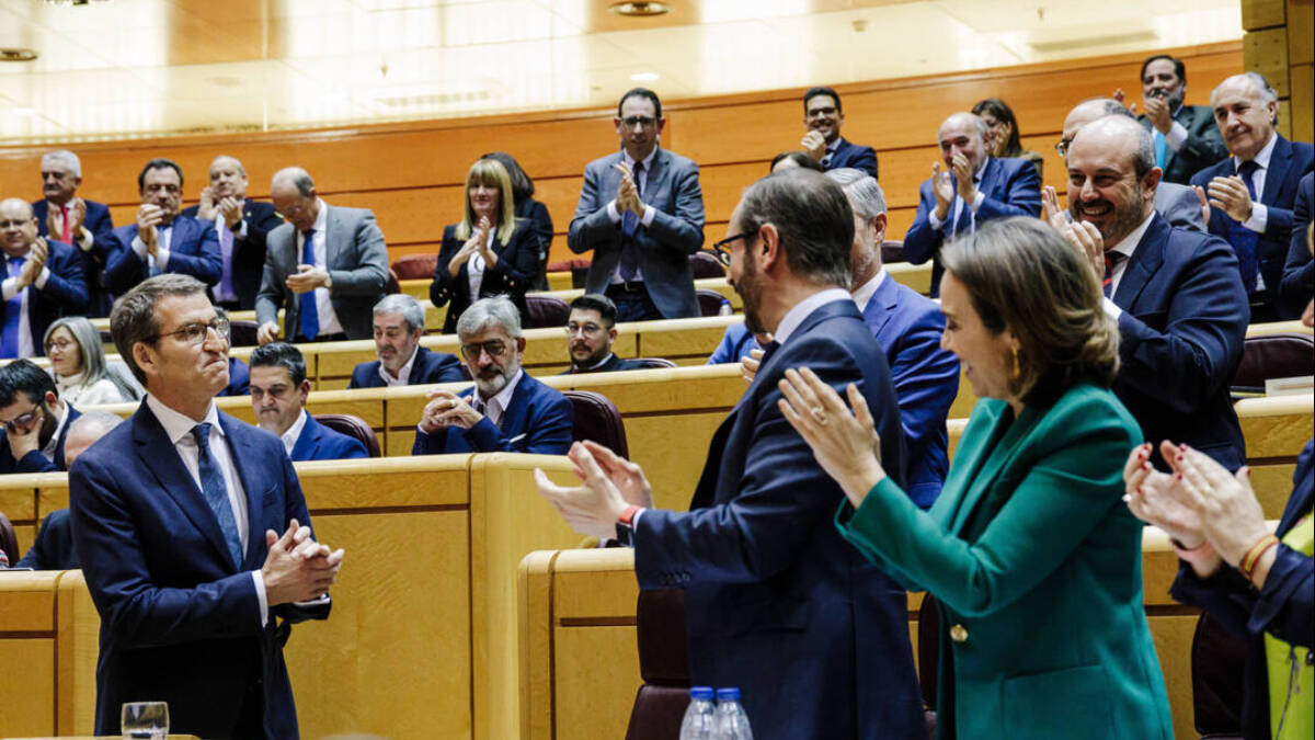 La bancada popular en el Senado aplaude la intervención de Núñez Feijóo. 