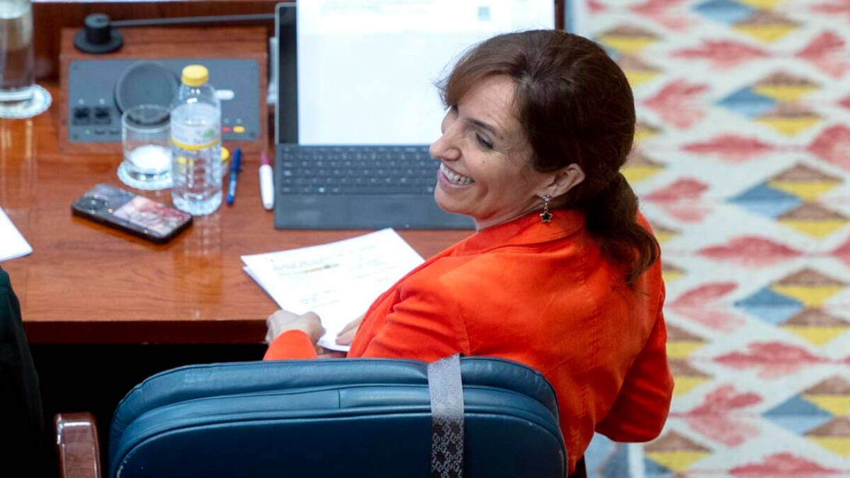 La portavoz de Más Madrid en la asamblea y candidata a la Presidencia regional, Mónica García.