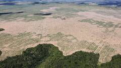 Biden promete 500 millones de dólares para frenar la deforestación en Brasil