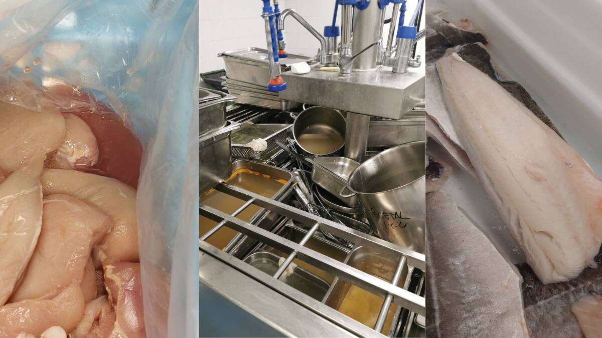 Mantenimiento de la comida, estado de las cocinas de La Fe, proceso de descongelación de algunos alimentos - CSIF