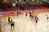 El Handball Fest de Mislata reúne más de 800 jugadores del balonmano base de todo el país
