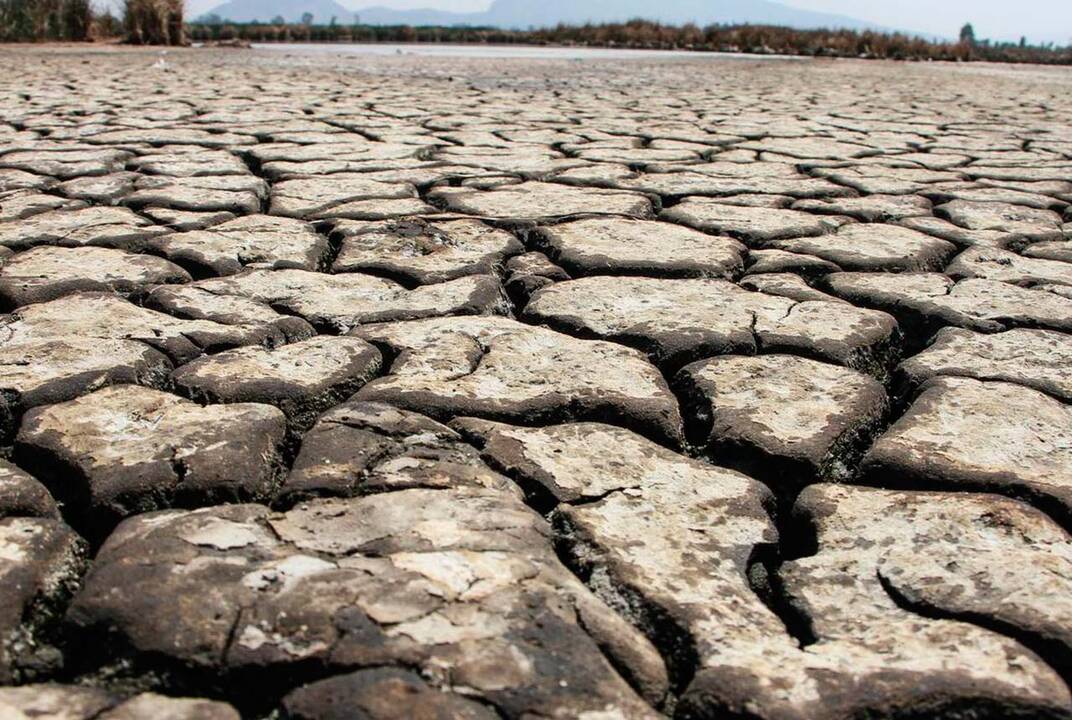 Google crea una tecnología pare hacer seguimientos de sequías 