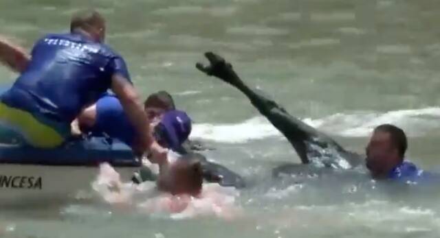 Muere ahogado un toro en los 'Bous a la Mar' de Dénia 