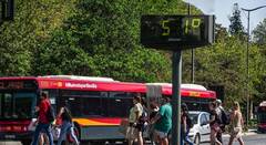 El invento sevillano para acabar con las abrasadoras esperas del autobús