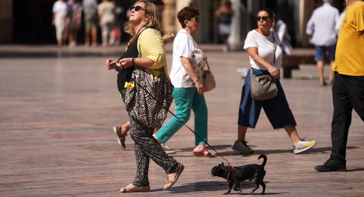 Señora pasea con su perro - ARCHIVO
