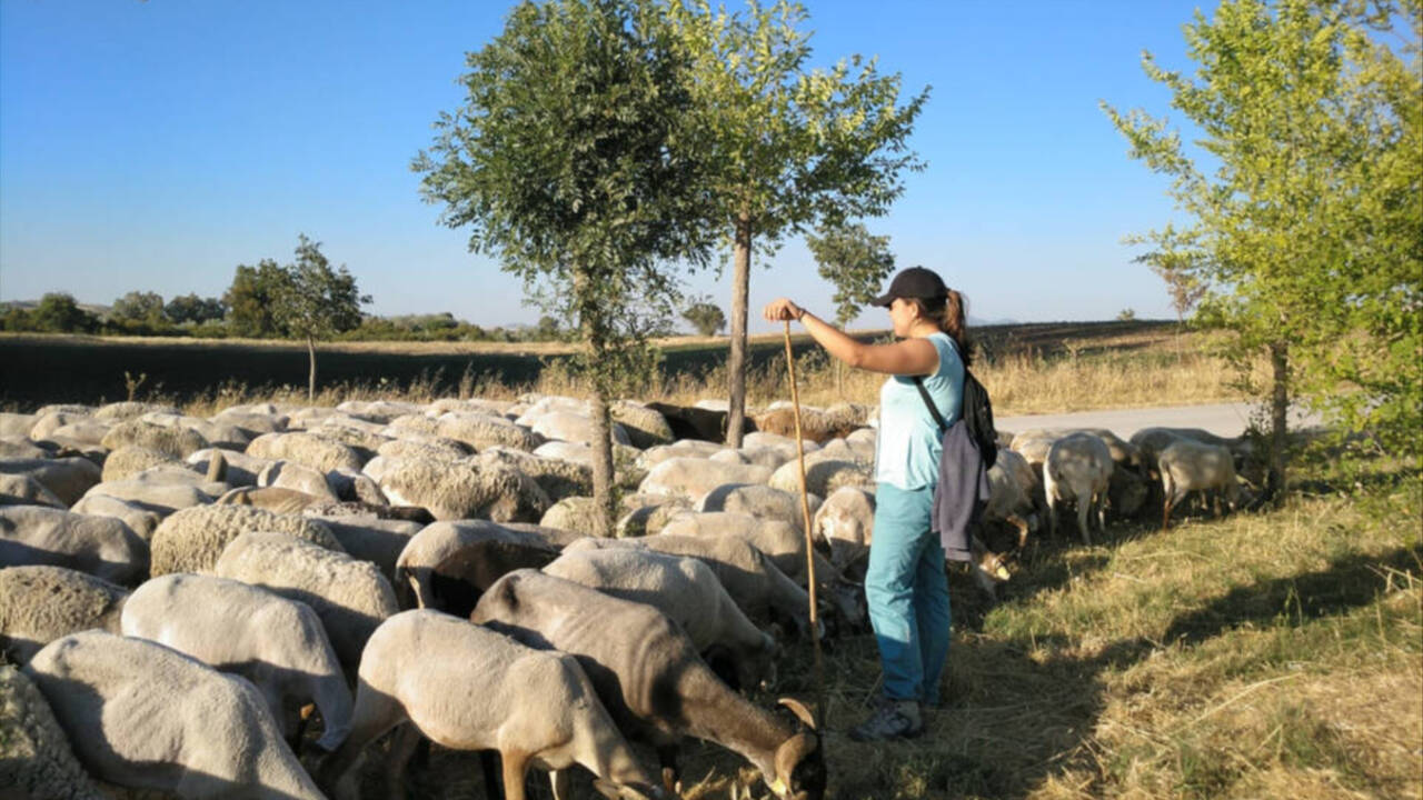 Una joven pastora en Andalucía.