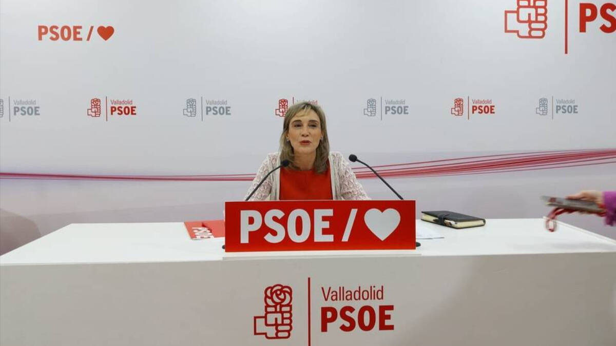 La diputada socialista por Valladolid, Luisa Sanz