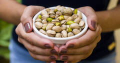 ¿Sabías que comer 49 pistachos al día tiene muchos beneficios para tu salud?
