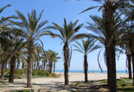 Castellón abre todas sus playas en Semana Santa