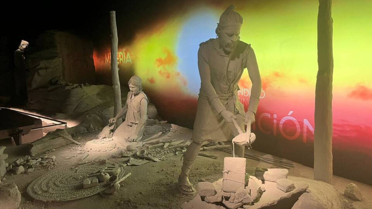 El museo alicantino exhibe  piezas inéditas de la Edad del Bronce