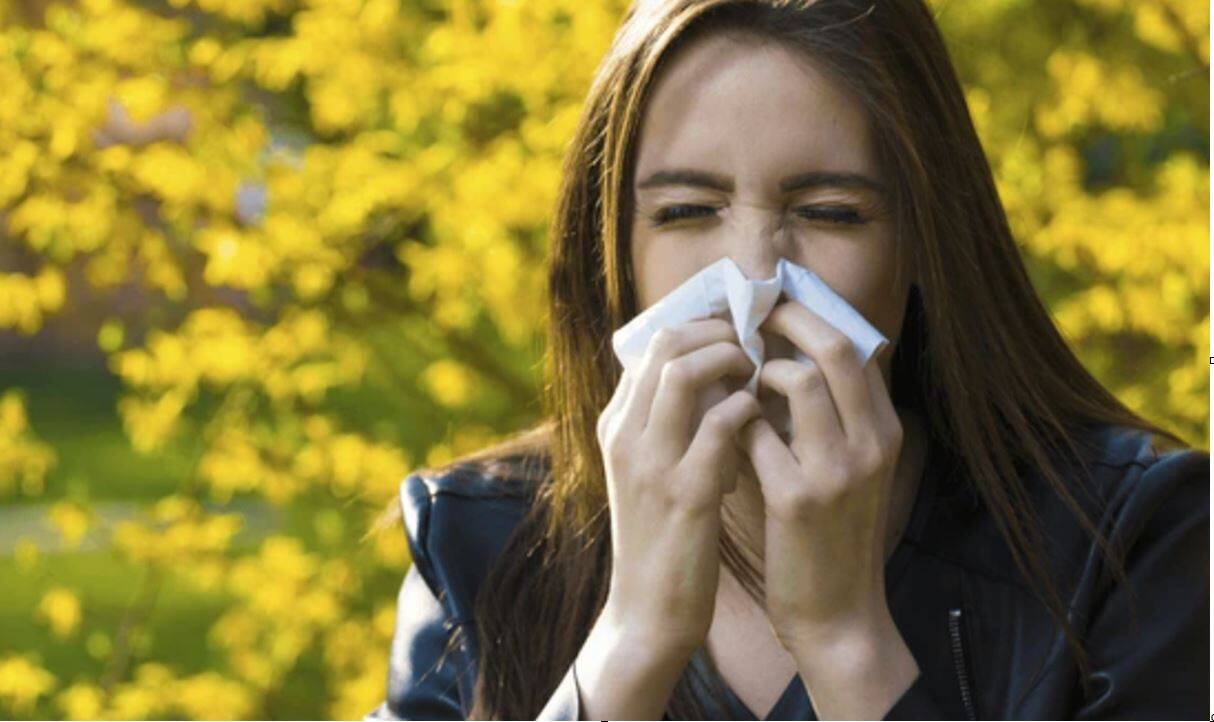 diferencias entre alergias y asma