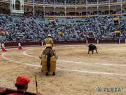 3ª San Isidro. Bastonito, un gran toro de Baltasar Ibán, 30 años después