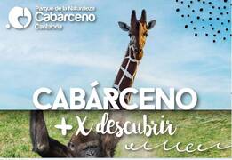 Un safari en Santander: 9 curiosidades del Parque de Cabárceno