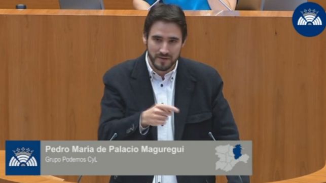 Pedro-Palacio-Parlamento-Castilla-Podemos_EDIIMA2015102_07_1.jpg