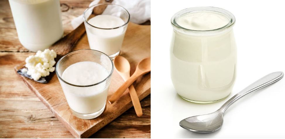 Diferencias entre el kéfir y el yogur