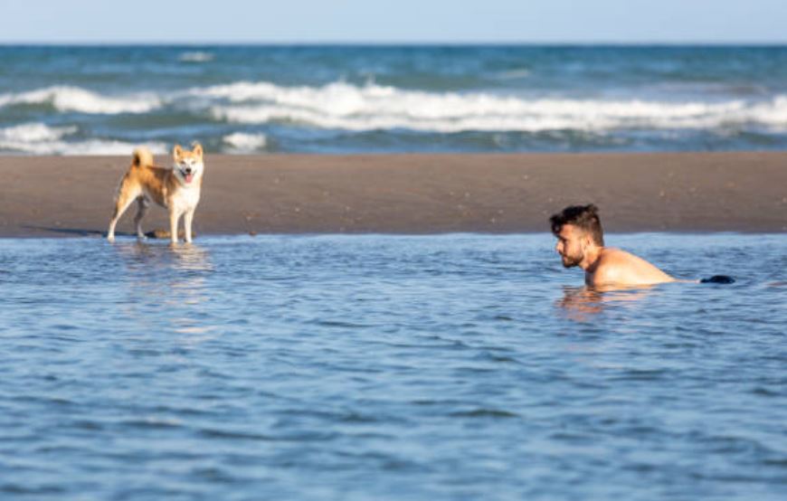 Playas en Andalucía perros