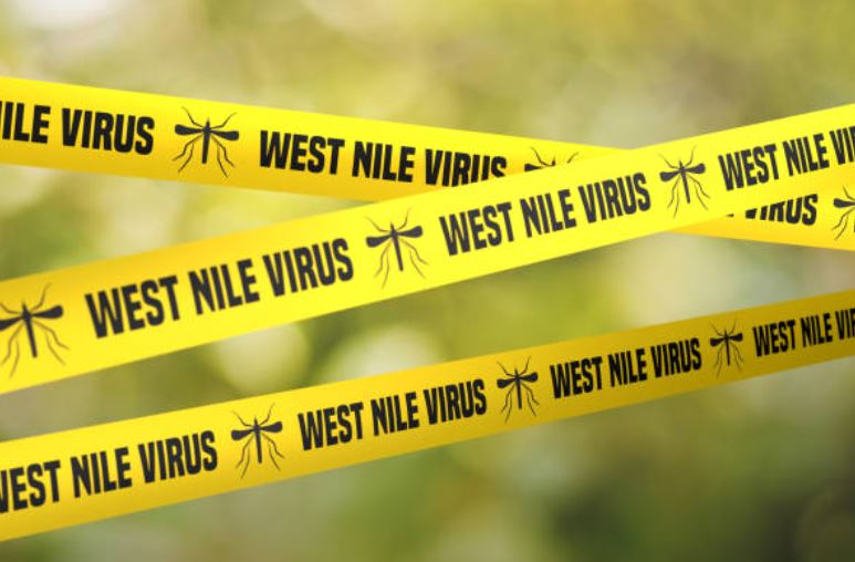 Virus del Nilo occidental