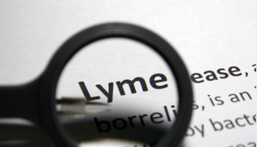 Enfermedad de Lyme