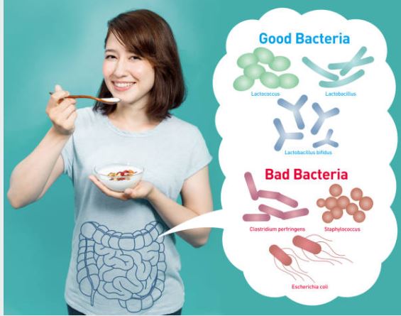 bacterias-yogur
