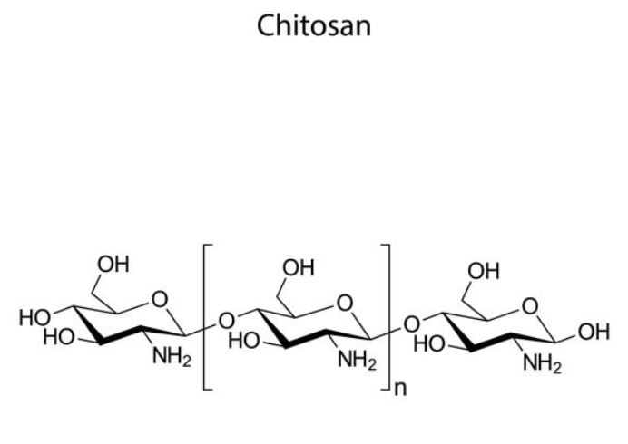 chitosan-2