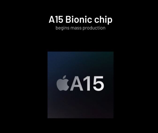 a-15-biónico