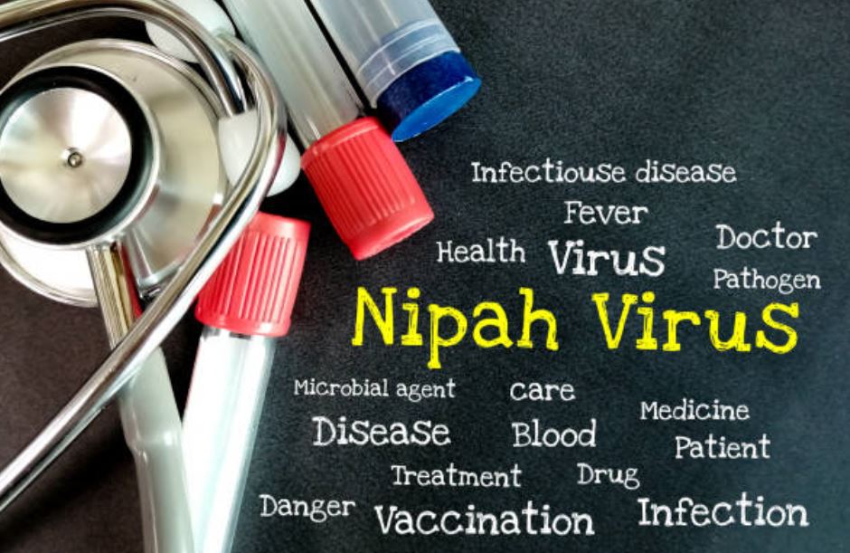 virus-nipaah-murcielagos