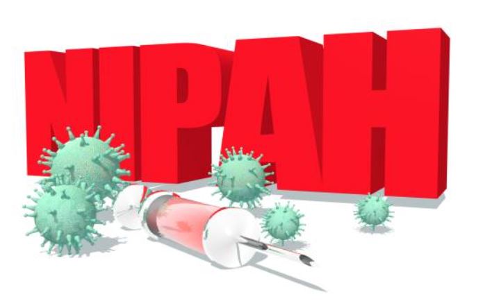 Qué es el virus Nipah 