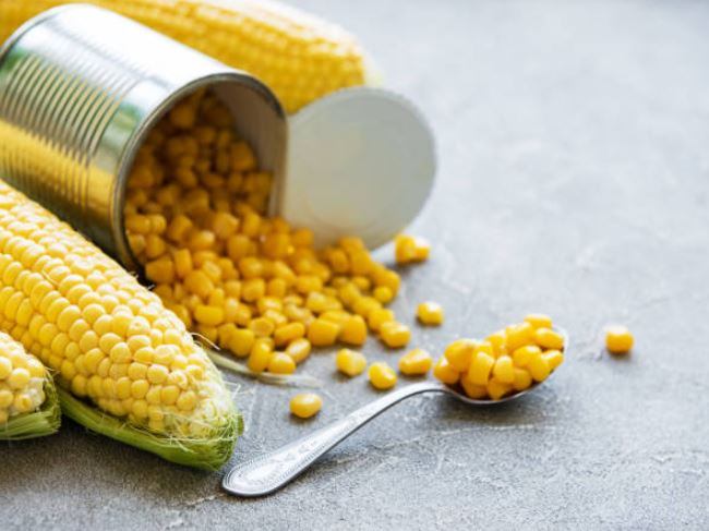 maíz en lata propiedades