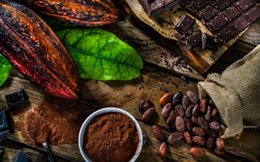 vainas-cacao -Los orígenes del cacao en Mesoamérica