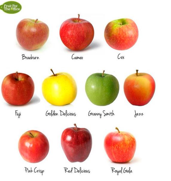tipos de manzanas