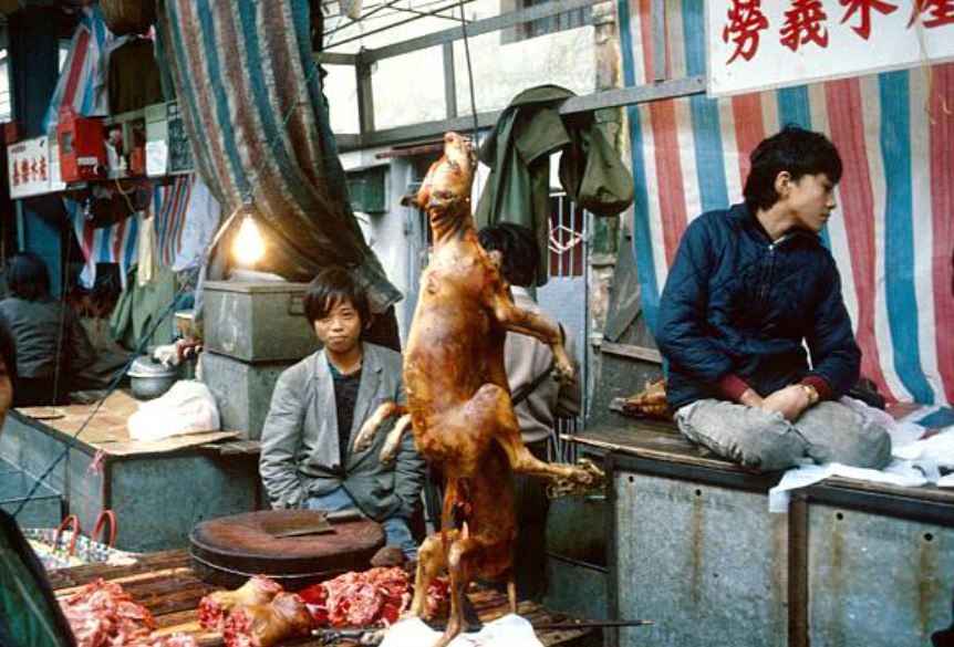 consumo de carne de perro en Corea del Sur