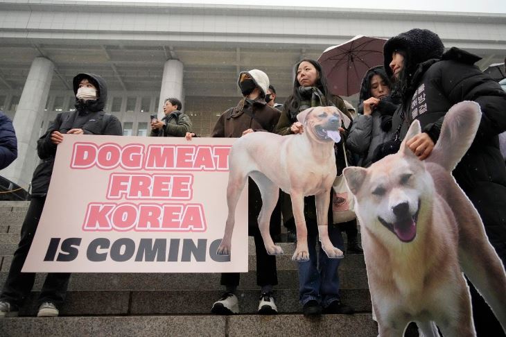 protestas-corea-sur