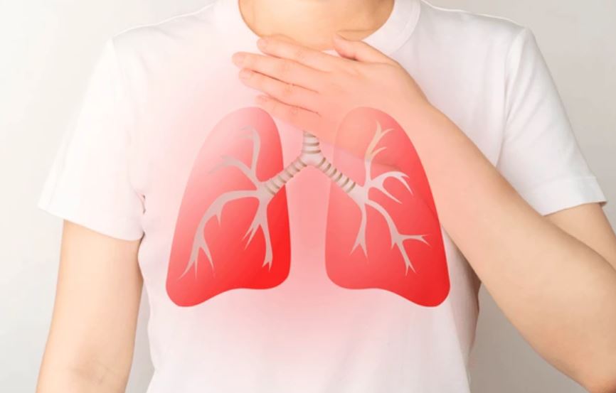 vias-respiratorias-tosferina en adultos