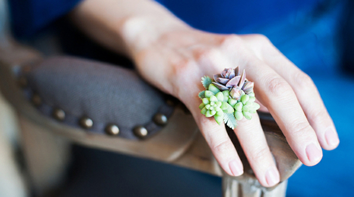 Original anillo decorado con plantas vivas. 