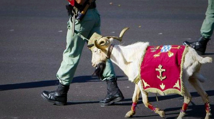 "Pepe", en uno de sus últimos desfiles con La Legión.