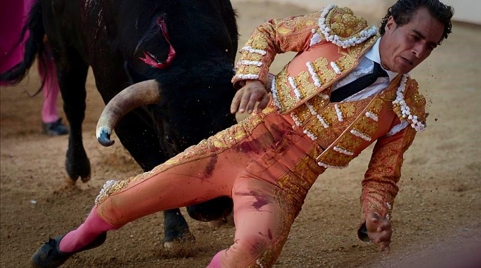 Otro drama en el ruedo: muere el torero Iván Fandiño tras recibir una brutal cornada en Francia
