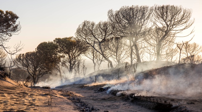 La llamada Cuesta Maneli calcinada tras el incendio junto a Doñana