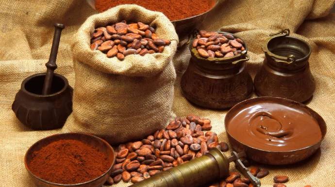 cacao y chocolate factor importante de la agricultuta ecuatoriense