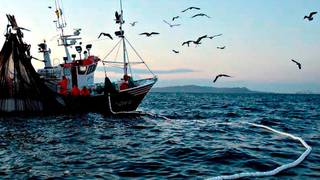 El drama de la pesca en España: cada se vez se van más lejos y pescan menos