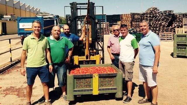 Una de las 540 cajas de tomate que se ha enviado par la Tomatina