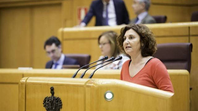 La nueva portavoz de Podemos en el Senado, Pilar Garrido. 