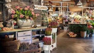 Los floristas estiman unas pérdidas del 80% en el Día de la Madre
