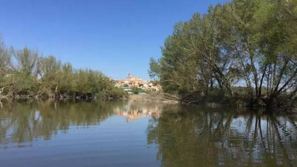 El cocodrilo fue visto por primera vez este sábado en la confluencia de los ríos Pisuerga y Duero.