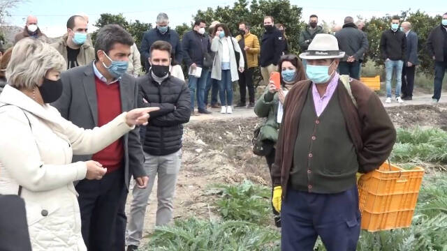 El presidente de la Diputación ha visitado esta mañana una plantación de alcachofas / FOTO: O. Avellán