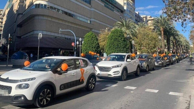 La caravana de coches ha recorrido las principales avenidas del centro de la ciudad